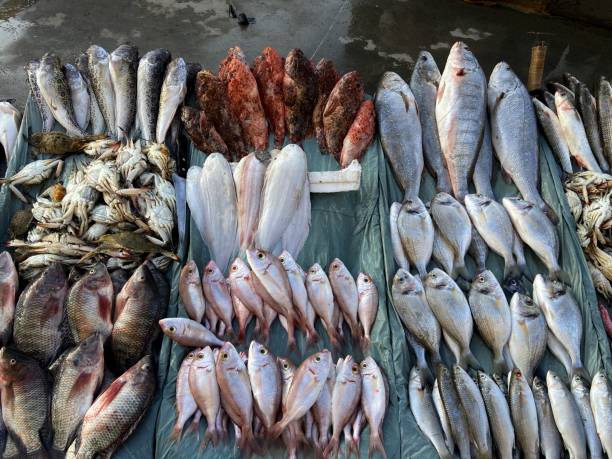 istock Fish display in Fish open market in  Alexandria in Egypt 1396340782