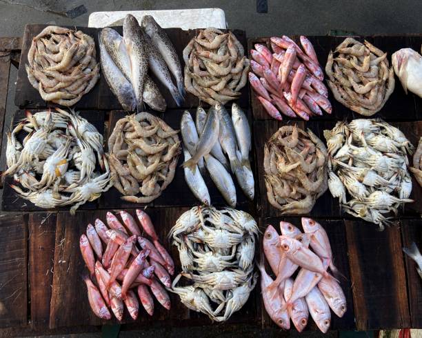 istock Fish display in Fish open market in  Alexandria in Egypt 1396340814