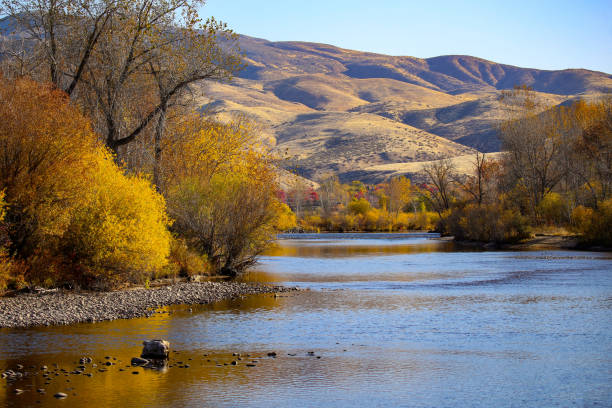 Autumn on the Boise River in southeast Boise, Idaho The Boise River in late fall boise river stock pictures, royalty-free photos & images