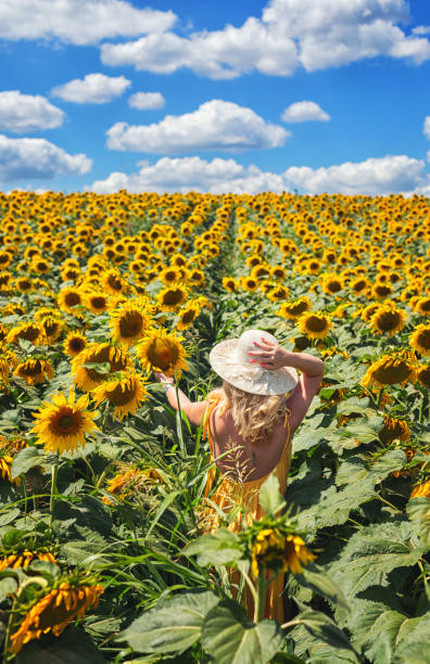 hermosa mujer con vestido amarillo disfrutando en el floreciente campo de girasol - blond hair overcast sun sky fotografías e imágenes de stock