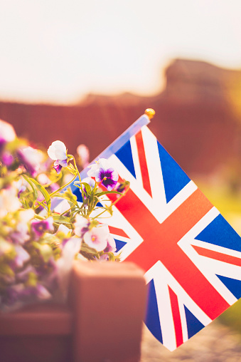 Union Jack flag with purple petunias in a backyard with warm sunlight and copy space