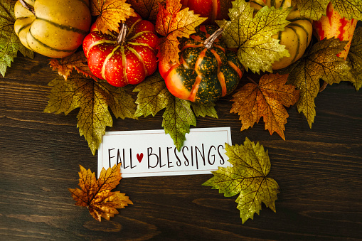 Thanksgiving background. Fall Blessings message with a collection of pumpkins and fall leaves