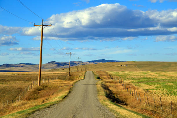 istock Country Road Canadian Landscape Alberta Canada 1396346336