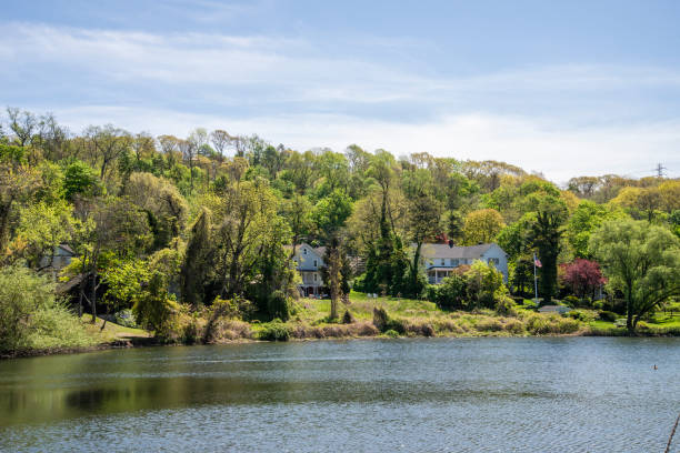 istock Houses in the waterfront 1396351847