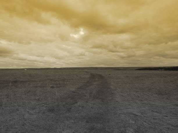 istock scary photos of fields clouds and trees 1396354098