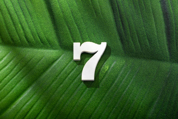 istock Number 7 - Green leaf of tropical plant 1396360482