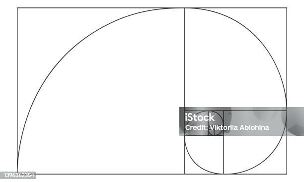 Golden Ratio Sign Logarithmic Spiral In Rectangle Nautilus Shell Shape Golden Ratio Sign Logarithmic Spiral In Rectangle Nautilus Shell Shape