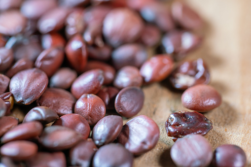 chinese medicine spina date seed