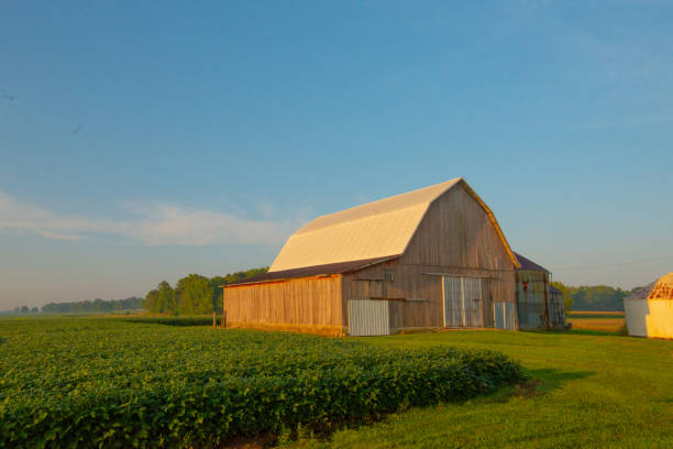 istock Old Weathered Barn-Howard County,Indiana 1396363699