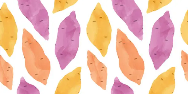 Vector illustration of Sweet potato vegetable watercolor drawing seamless pattern