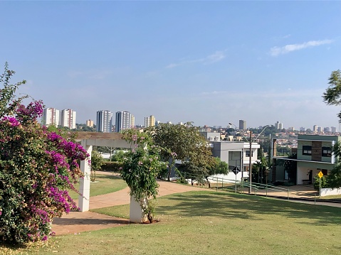 Green lawn of a garden, with vegetation and plants, florida red spring plant, in the background view of buildings and buildings. Blue sky with clouds. City of Rio Claro, in São Paulo.