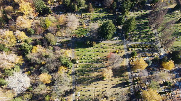 arial drohnen-blickflug über alten friedhof mit grabsteinen, grabsteinen, pfeilen - san francisco national military cemetery stock-fotos und bilder