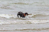 ein-jagdhund-der-einen-stock-aus-dem-michigansee-mitbringt.jpg?b=1&s=170x170&k=20&c=jK3MfKqFbLzGcnKF6WF5cNcmMkolDQPZ46ih4N3ZR90=