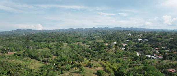 istock Green landscape with residential district 1396380896
