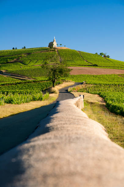 vila de hill of fleurie em beaujolais na frança - beaujolais - fotografias e filmes do acervo