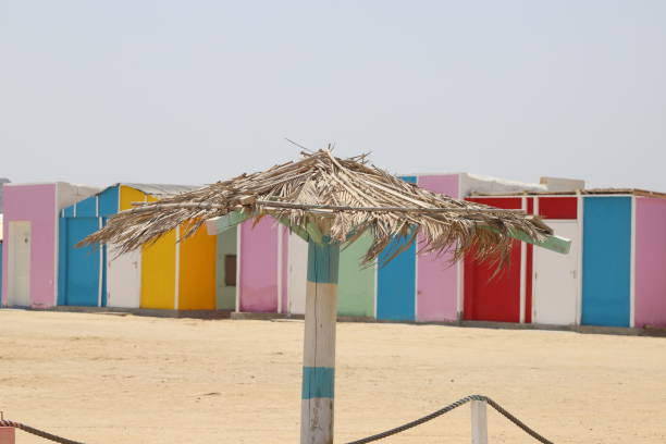 Situated south of the city of Aswan, the charming Nubian village of Gharb Soheil bursts with color on the west bank of Egypt's Nile. Traditional houses are adorned with vibrant colors and intricate designs.