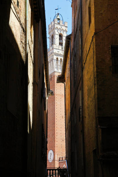 пьяцца дель кампо сиена. палаццо пабблико и торре дель манджа - torre del mangia стоковые фото и изображения