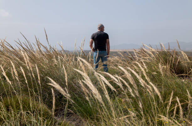 Free Stock Photo of Man Standing in Field of Tall Grass | Download Free ...