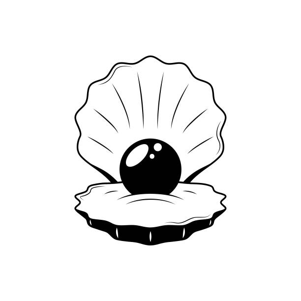 Clam Shell Stylenet 680+ Clam Shell Silhouette Stock Illustrations, Royalty-Free Vector ...