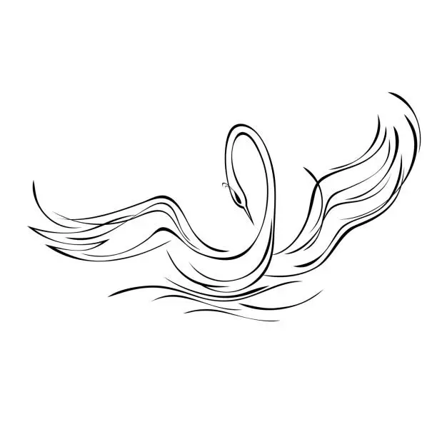 Vector illustration of swan 46
