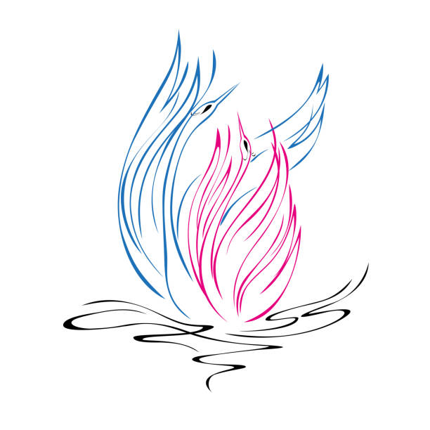 swan 48 two stylized swans in love float on the water and flap their wings constellation cygnus stock illustrations