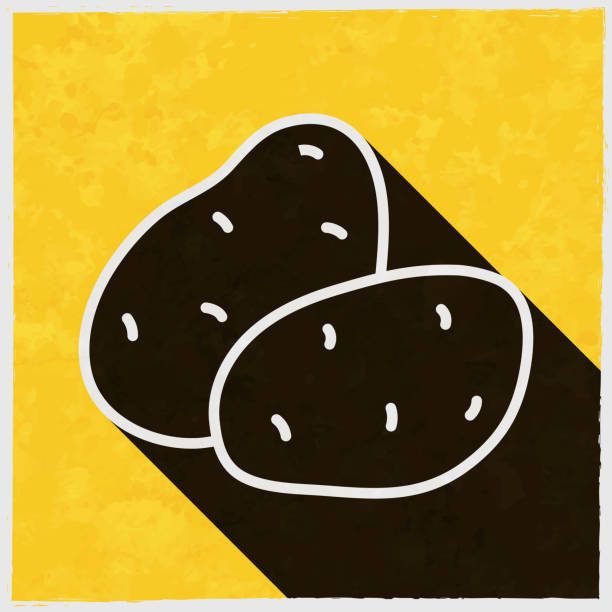 ilustrações de stock, clip art, desenhos animados e ícones de potato. icon with long shadow on textured yellow background - root paper black textured