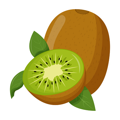 Whole kiwi with green leaf isolated on white background. Flat vector illustration.