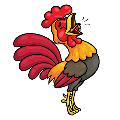 Illustration of cute cartoon of rooster crowing.