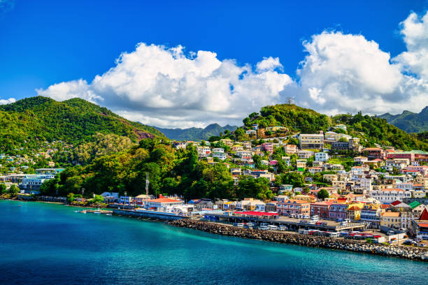 St. George's capital of the Caribbean island of Grenada St. George's capital of the Caribbean island of Grenada seen from the sea west indies stock pictures, royalty-free photos & images