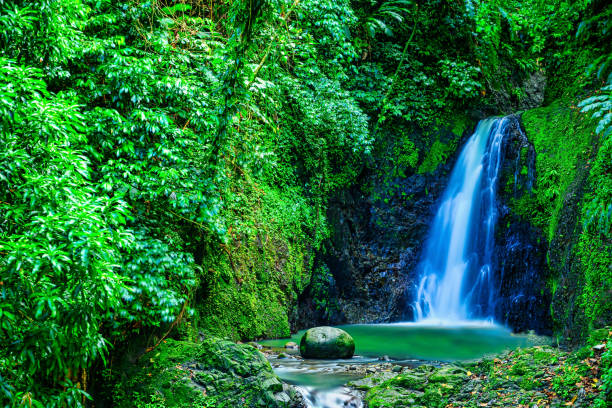 istock A view of Seven Sisters Waterfalls on Grenada 1396408493