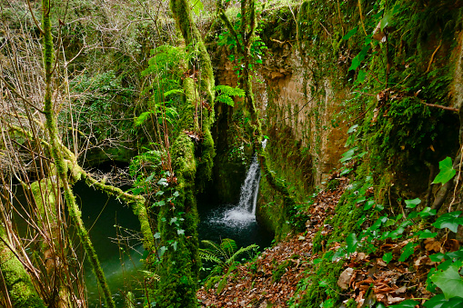バーバラーノロマーノとブレラの間のペールビエダーノ渓谷の道マルトゥラヌム地域公園 おとめ座のストックフォトや画像を多数ご用意 おとめ座
