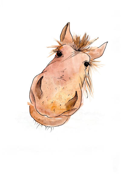 stockillustraties, clipart, cartoons en iconen met reproduction watercolor head funny horse - gekke paarden