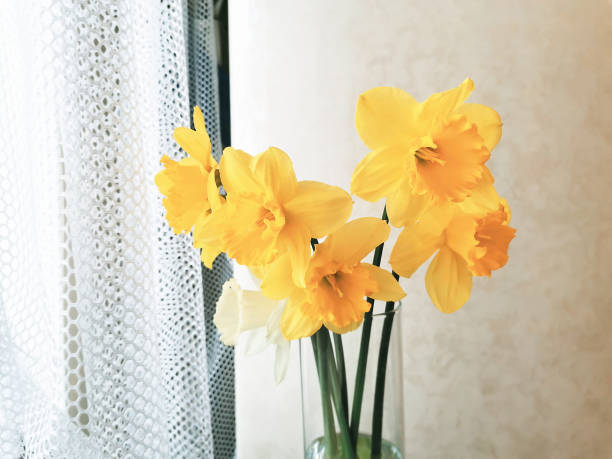 istock Yellow daffodils in glass vase near window 1396416225