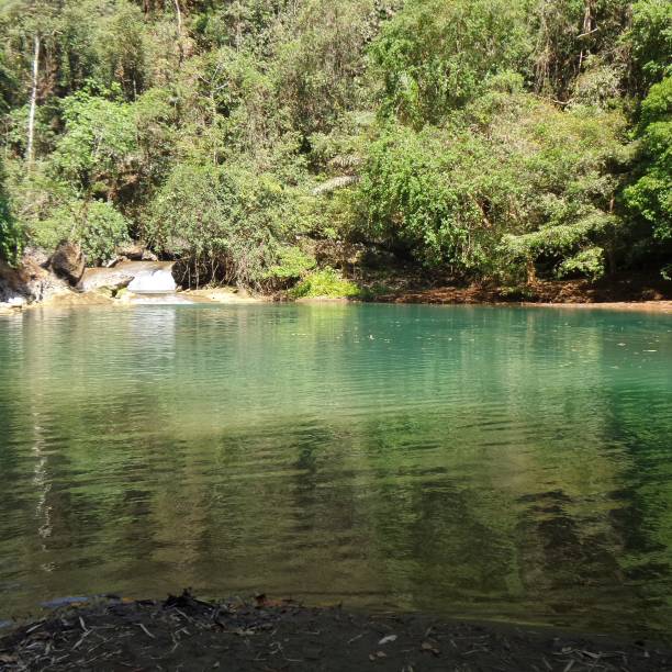 istock Green lake Makassar 1396419754
