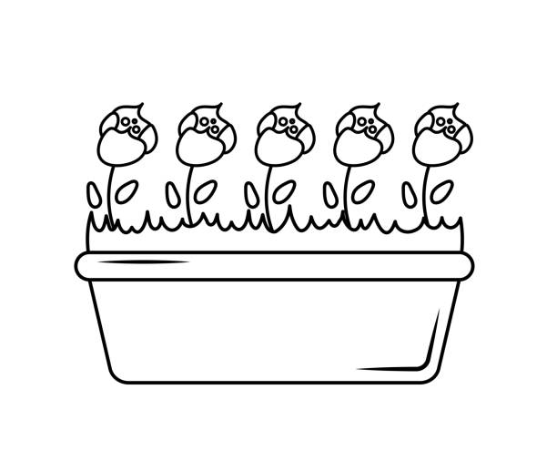 ilustrações de stock, clip art, desenhos animados e ícones de pattern of flowers in a pot. roses in a long pot in doodle style. - long grass uncultivated plant stage plant condition