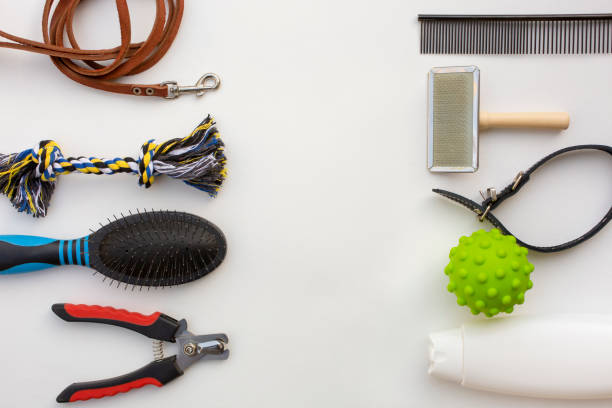 istock Accessories for pets care on white background. 1396427434