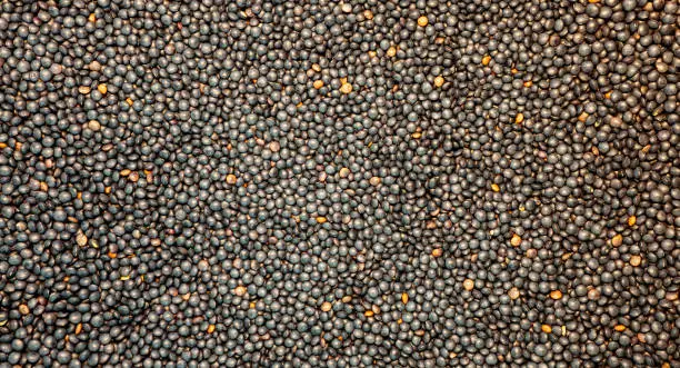 Photo of Raw dark whole black lentils beluga, texture. lentils pattern background. Food ingredient background.