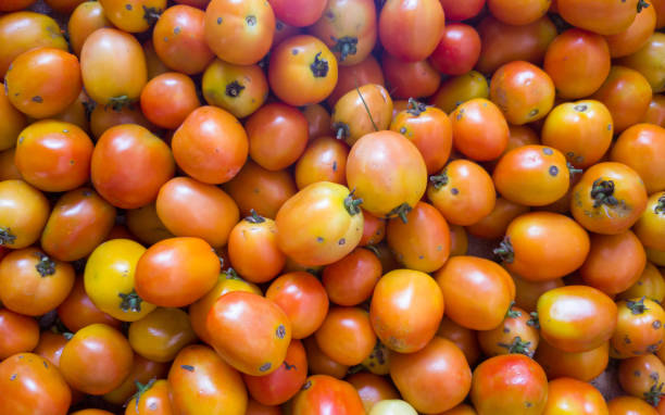 tas de tomates orange et jaunes mûres, vue à angle élevé - heirloom tomato food tomato crate photos et images de collection