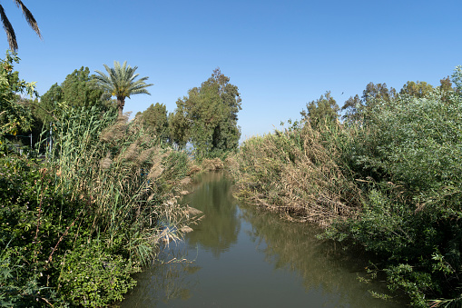 Plenty of vegetation on both sides of the Jordan River that flows into the Sea of Galilee