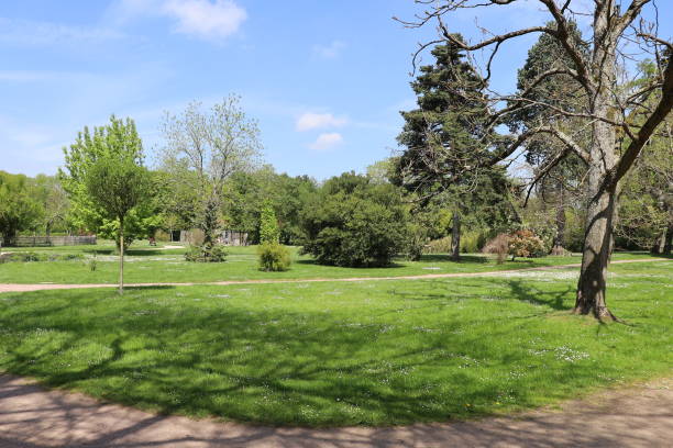 istock Chateauroux - Jardin public 1396435058