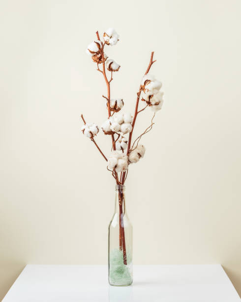 istock Cotton flower branch bouquet on light background 1396435994
