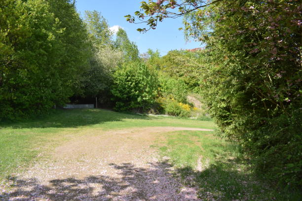 istock gravel parking lot in springtime 1396436091