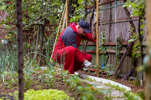 istock Cheerful senior man working in garden 1396439695