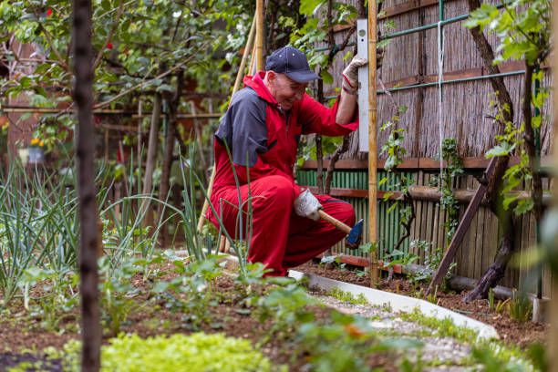 istock Smilling senior man making a fence 1396439715