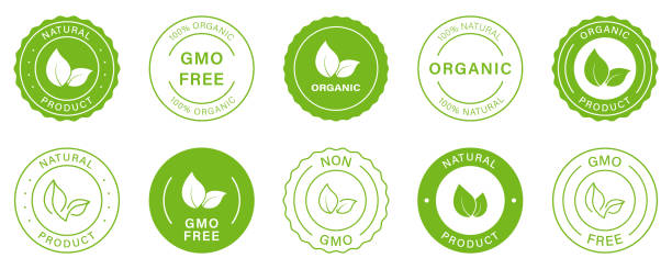 ilustrações de stock, clip art, desenhos animados e ícones de gmo free silhouette icon. non gmo, vegan food glyph green badge. healthy symbol set. organic bio product label. 100 percent ecology natural. eco stamp logo. isolated vector illustration - non gmo