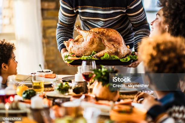 It Is Time For Thanksgiving Turkey You All Stock Photo - Download Image Now - Thanksgiving - Holiday, Turkey Meat, Family