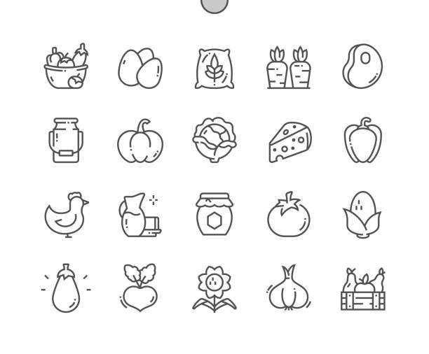 illustrations, cliparts, dessins animés et icônes de produits de la ferme. carotte, fromage, tomate et autres. magasin d’alimentation, supermarché. menu pour restaurant et café. icônes de ligne mince vectorielle parfaite au pixel près. pictogramme minimal simple - symbol computer icon carrot restaurant