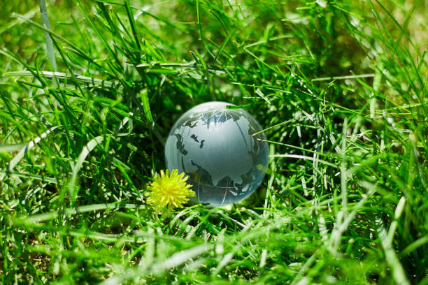 istock Glass Earth globe on green grass background, Saving environment concept,  Earth Day Concept 1396444599