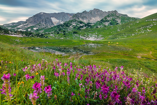 Mountain landscape with Pshekha-su mountain and Psenodah lake in the valley of Lagonaki, Caucasus, Russia
