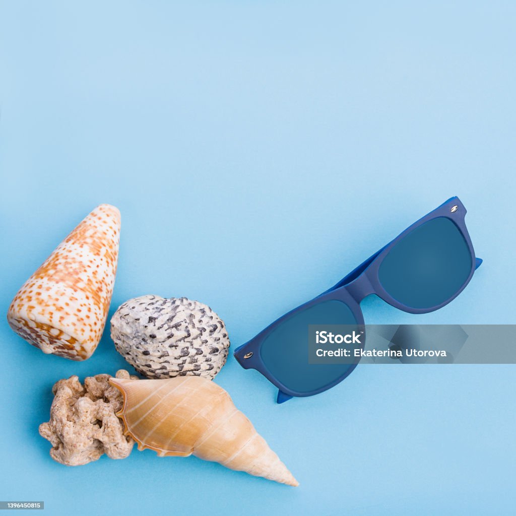 Flat lay of shells and hat on a blue background Flat lay of shells on a blue background. Seashells and hat on a pastel background. Vacation concept Sand Stock Photo